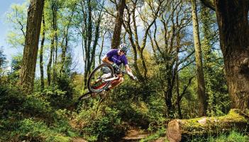 Haldon Forest. Pic from Mountain Biking UK