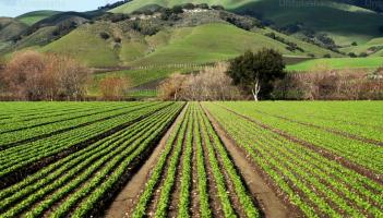 Rootstock 2026 brings UK farming leaders to Westpoint, Exeter