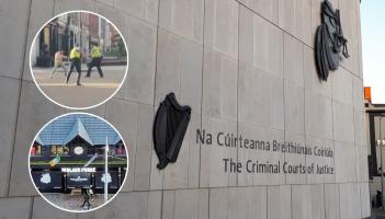 Self-described jihadist stabbed garda and set fire to Dublin pub owned by Conor McGregor