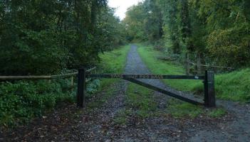 'Cowboy' fly-tippers face 'clean-up squads' in Exeter woodland crackdown