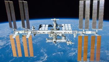 Tiny worms to blast off to space station in Exeter-led experiment