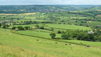 Residents urged to shape future of East Devon's wildlife in six-week consultation