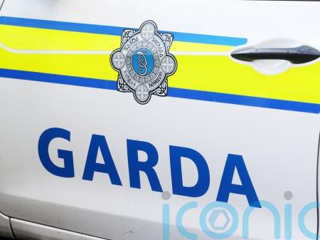Man aged in his 20s dies in Co Westmeath crash