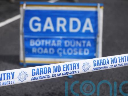 Man dies in hospital following Co Longford crash