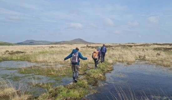 Walkers enjoying areas of peatland restoration