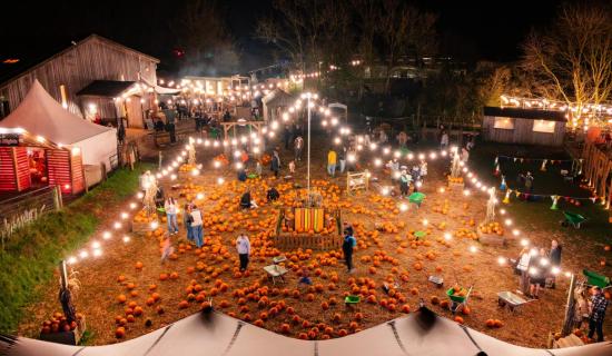 Pennywell Farm this October 