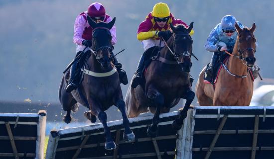 Super Sunday at Exeter Races. Pic from PPAUK