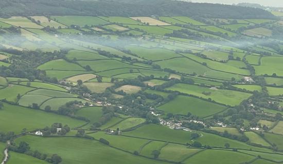 Steps are being taken to support wildlife and improve natural habitats