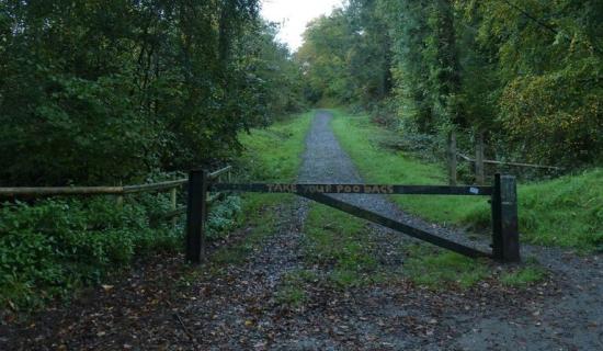 'Cowboy' fly-tippers face 'clean-up squads' in Exeter woodland crackdown