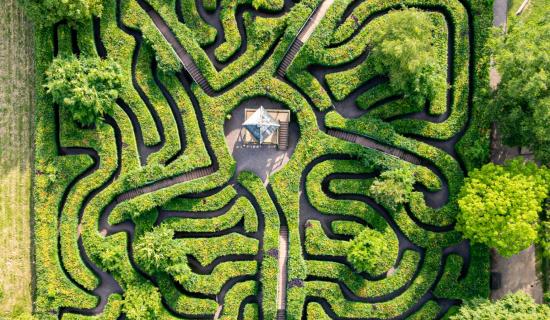 Wildwood Devon at Escot Park 