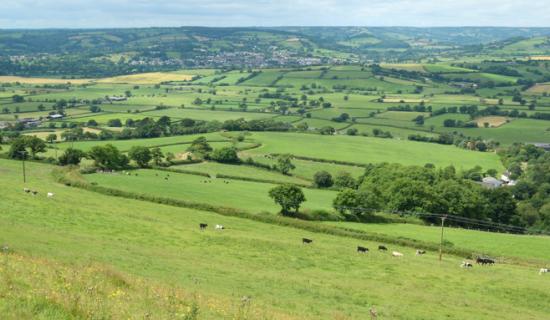 Residents urged to shape future of East Devon's wildlife in six-week consultation