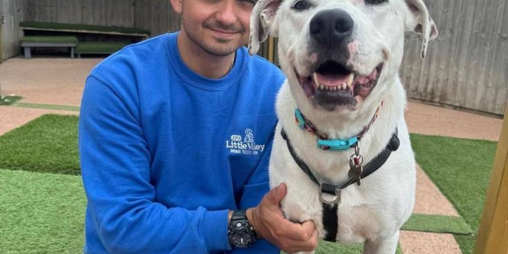 Exeter RSPCA Worker heads to Sri Lanka to aid street dogs