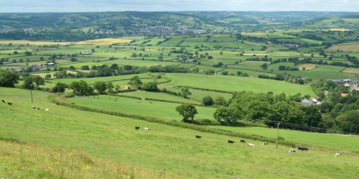 Residents urged to shape future of East Devon's wildlife in six-week consultation