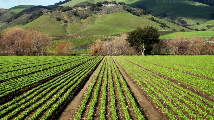 Rootstock 2026 brings UK farming leaders to Westpoint, Exeter