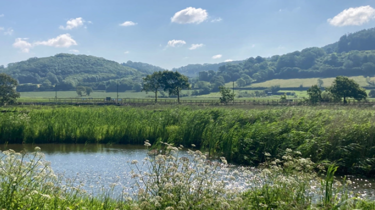 East Devon council ramps up conservation efforts as spring season begins