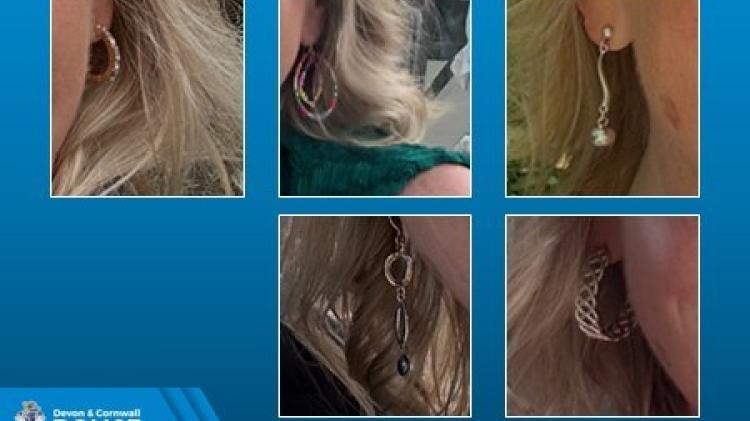 Some of the stolen jewellery 