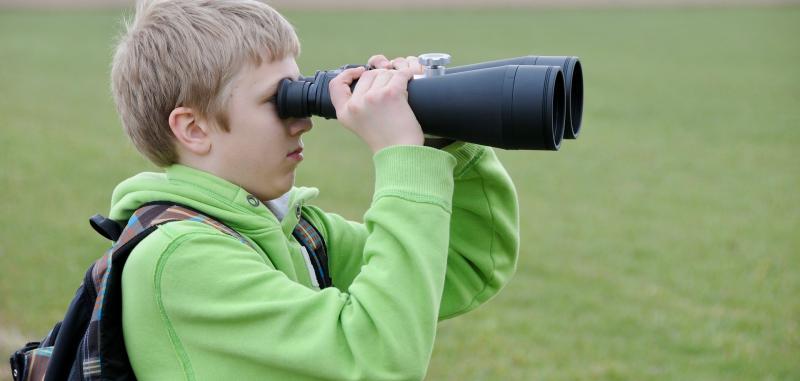Unlock the secrets of wildlife photography