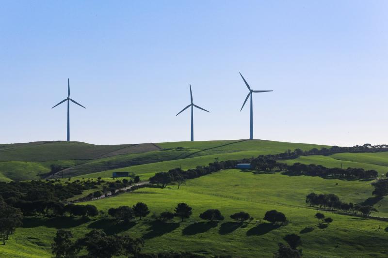 University of Exeter joins sustainable finance research alliance