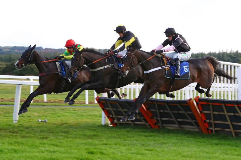 Haldon Gold Cup Day has moved