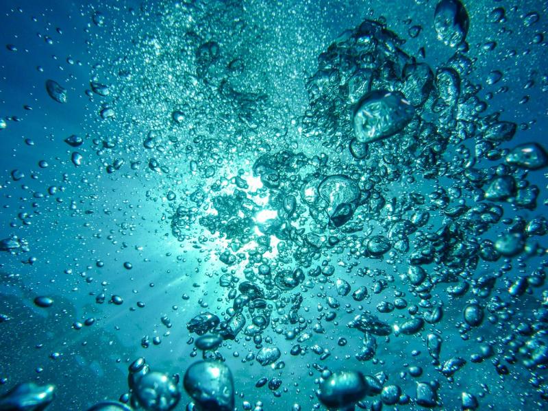 Drifting crustaceans could hold key to climate change