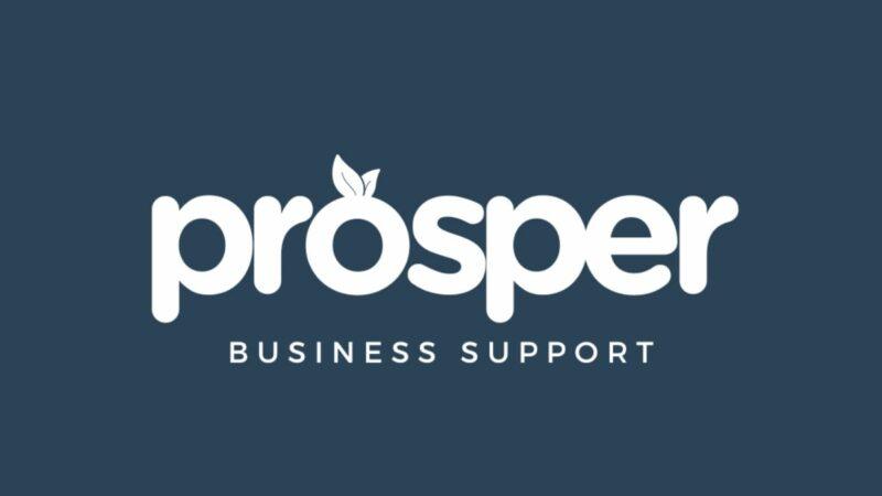 New free business support programme 