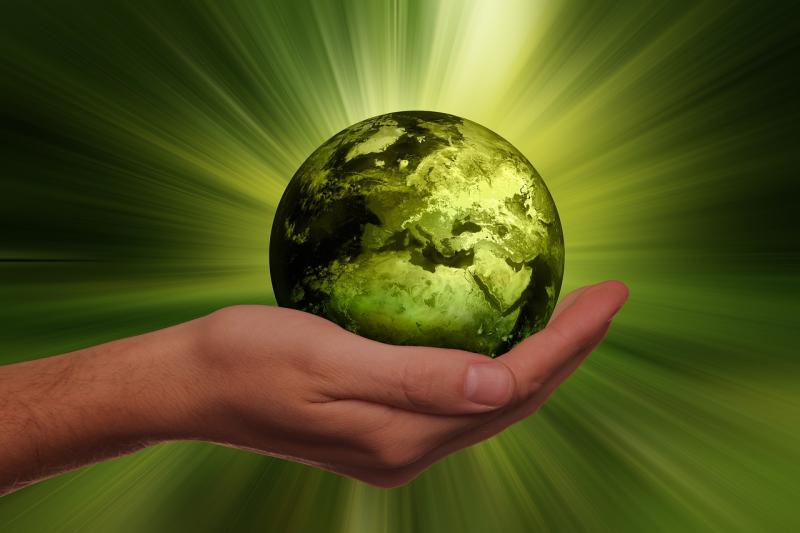 Exeter students get hands on with global sustainability challenges