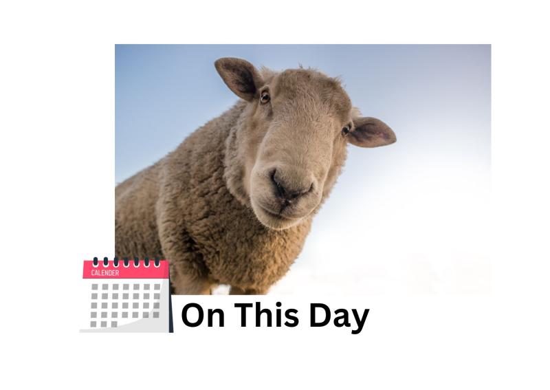 School children discover intruders looking sheepish