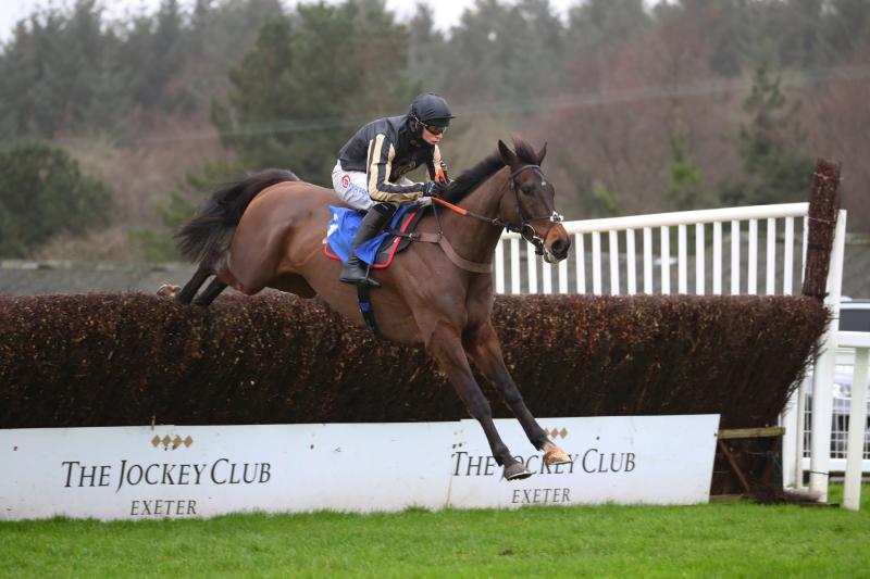 New Year's Day racing at Exeter