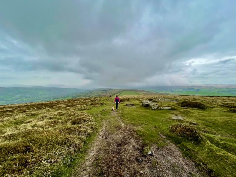 Dartmoor visitor numbers drop