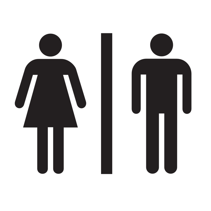 Last chance saloon for public loos