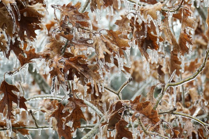 Warning to take care in cold weather 