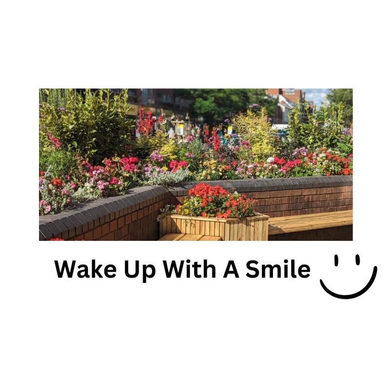 Mini 'parks' plan for the city