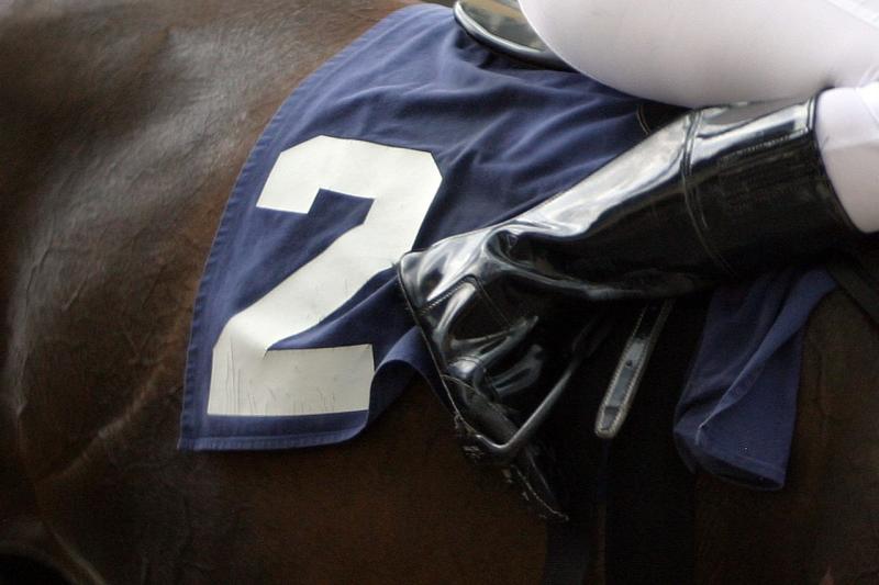 Newton Abbot race day dates announced