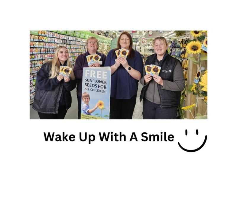 Can you become a Sunflower superstar?