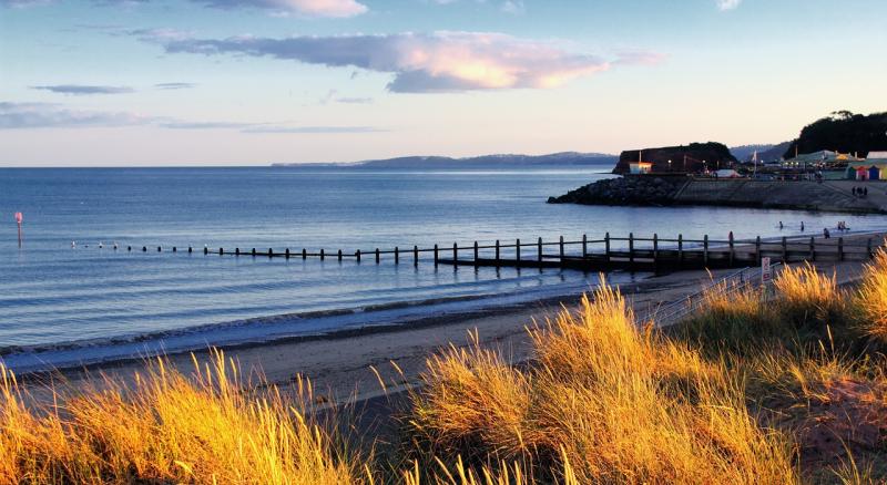 Local Visitor Economy Partnership  for Devon 