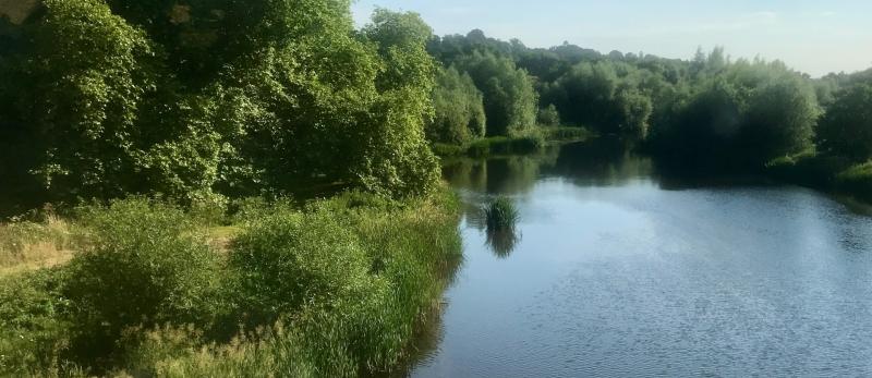  £1m investment to protect endangered eels