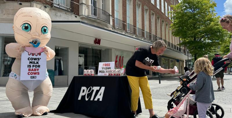 Dairy milk protest staged in Exeter