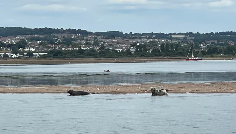 Speeding boat owners defy estuary patrols