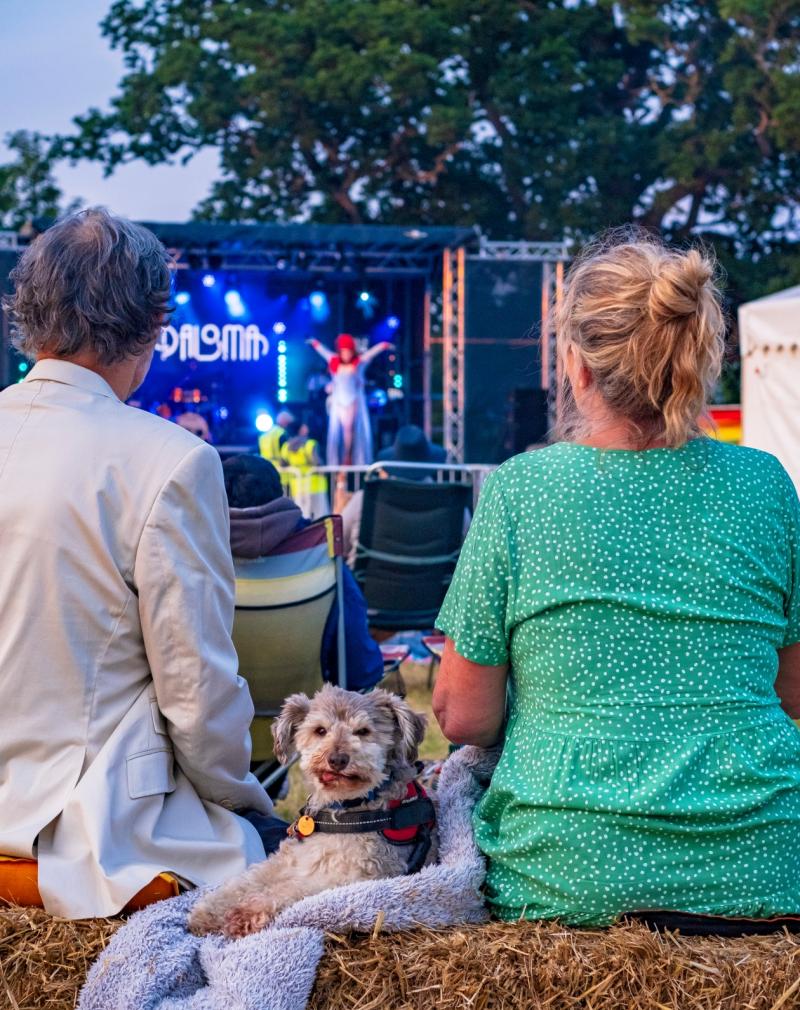 5 fun things to do this weekend in Devon: dog festival, huge gigs, global food markets, gardens, and where to watch the footie