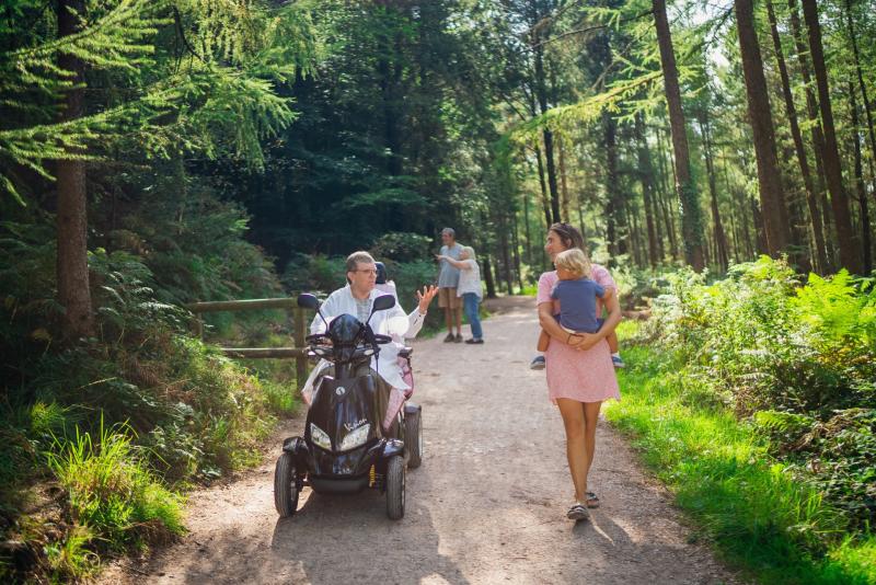 Forest 15 minutes from Exeter named one of the UK's best
