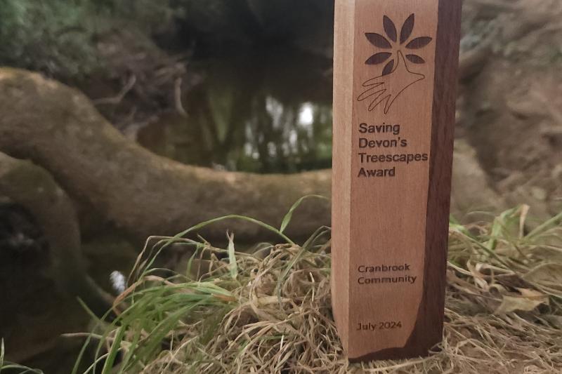 Cranbrook's conservation efforts recognised with another award
