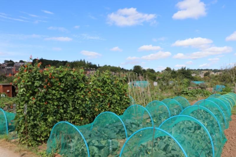 Allotment site to save 16000 litres of rainwater annually 