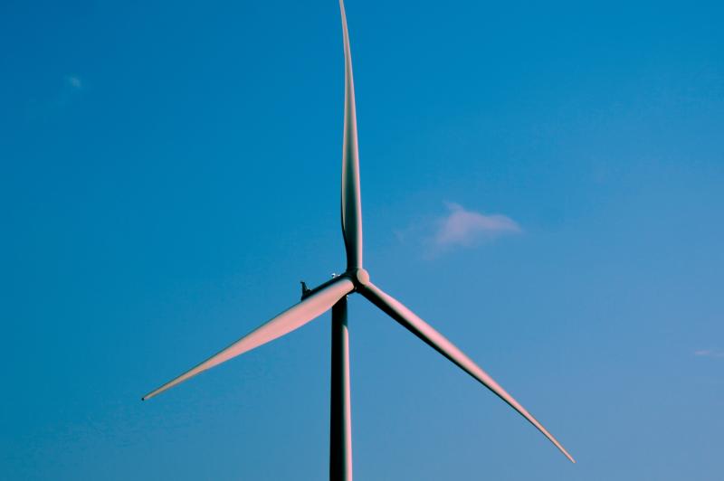 East Devon Council launches Carbon Action Fund