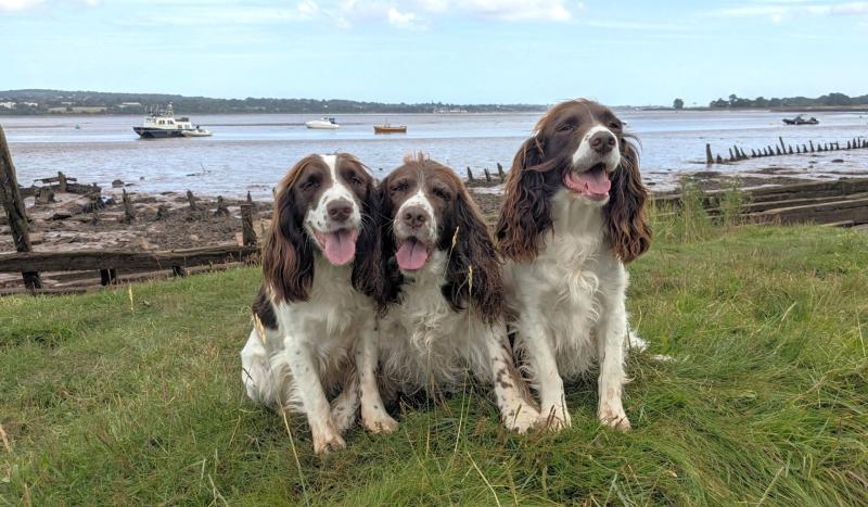 A man's heartwarming charity tour of the UK coast
