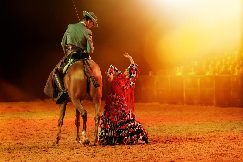 Review: a spectacular display of horsemanship 