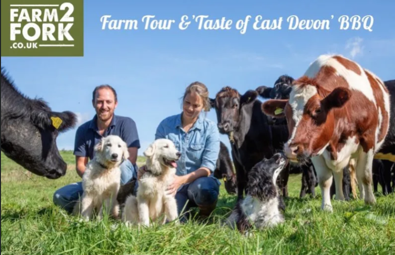 Regenerative farming at Taste East Devon