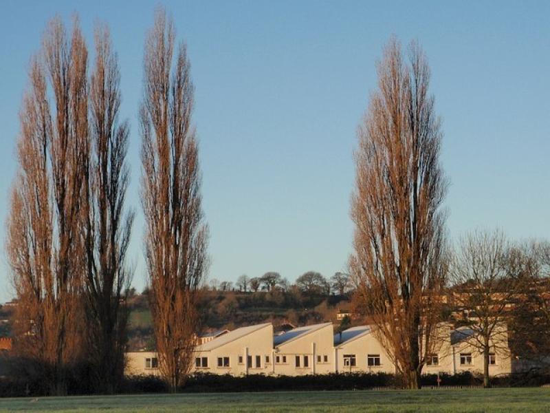 Give feedback on revised plans for Flowerpot Playing Fields