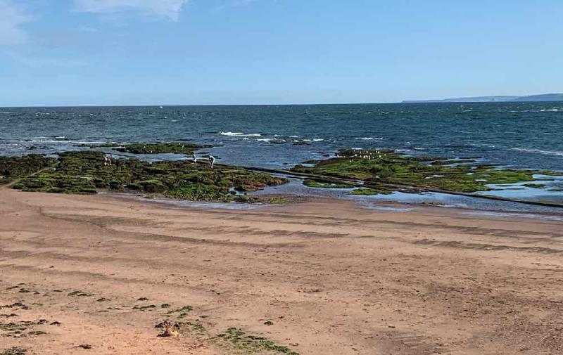 Exmouth MP says water firm willing to bring money forward for repairs