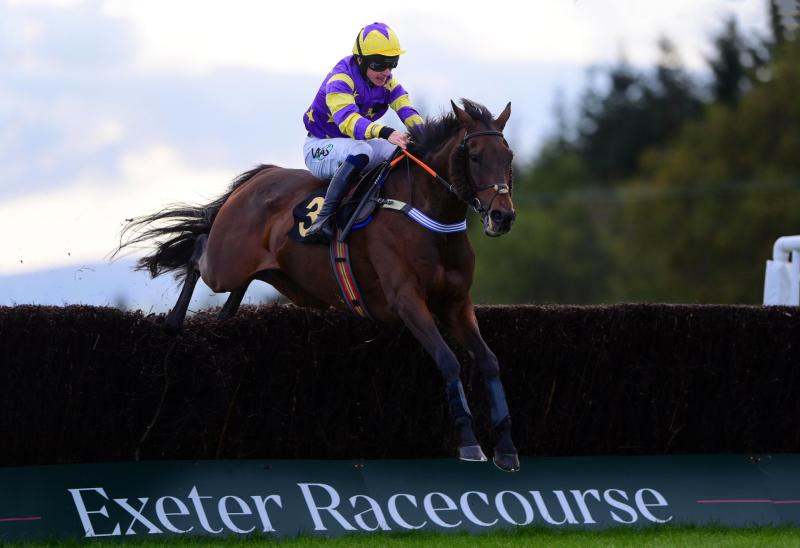 Exeter Racecourse. Pic from PPAUK