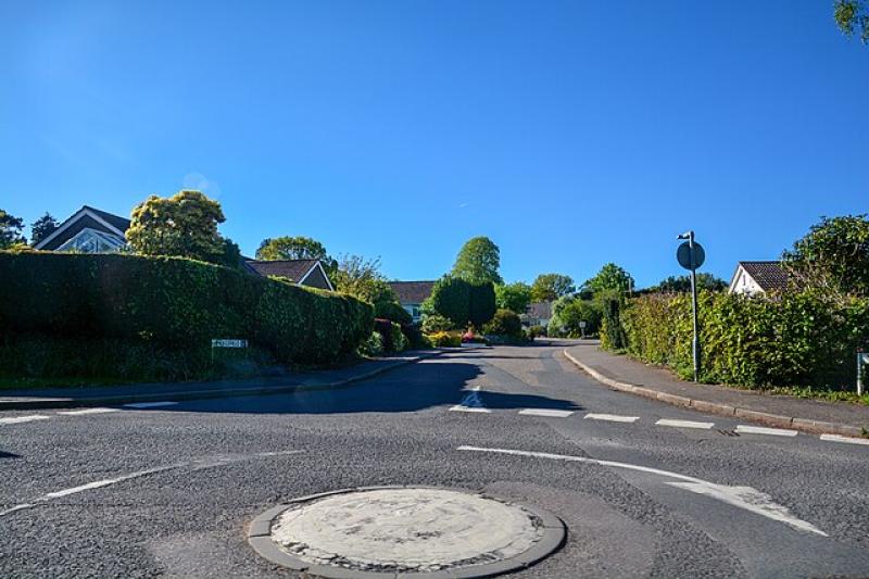 Early-stage plan for up to 30 homes in East Devon village waved through